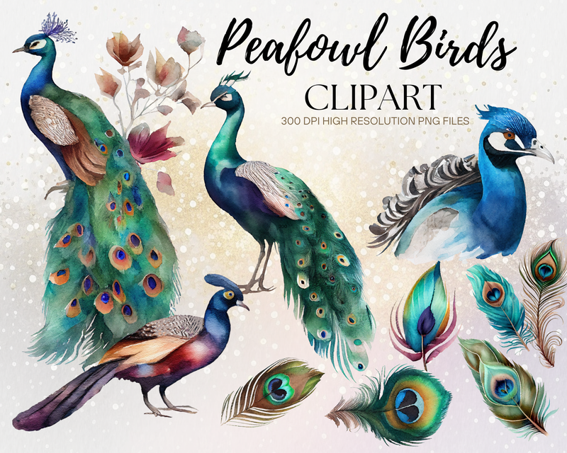 Watercolor Peacock Peafowl Birds Clipart