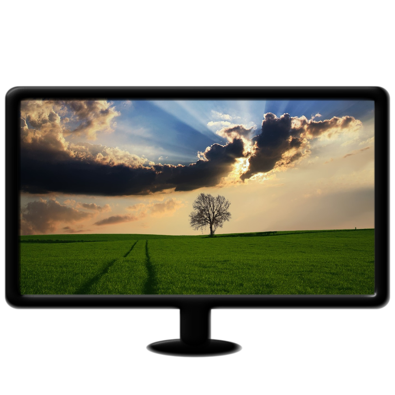 grass and tree live wallpaper mp4 16:9