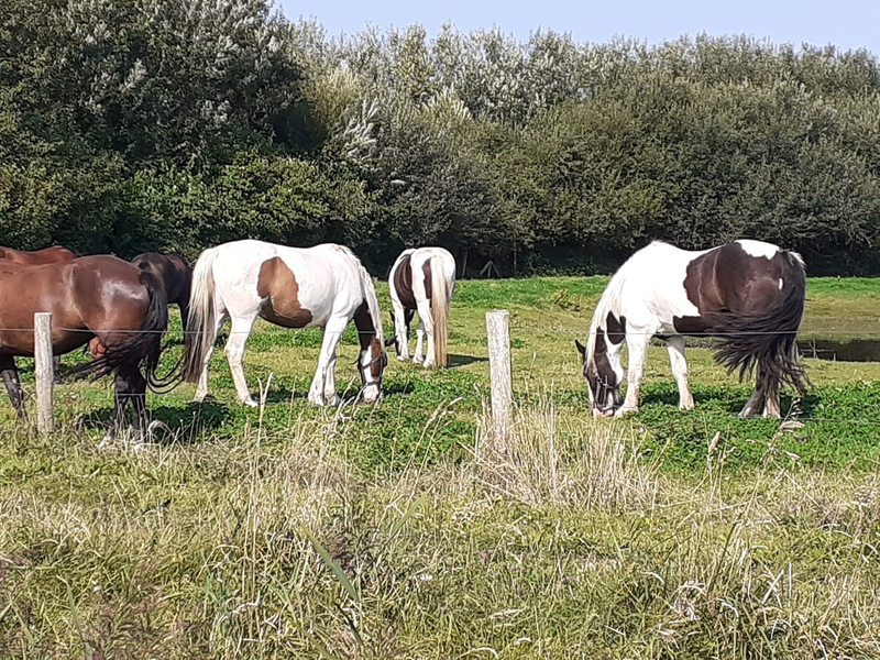 Nature and god creations