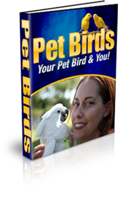 Pet Birds – eBook