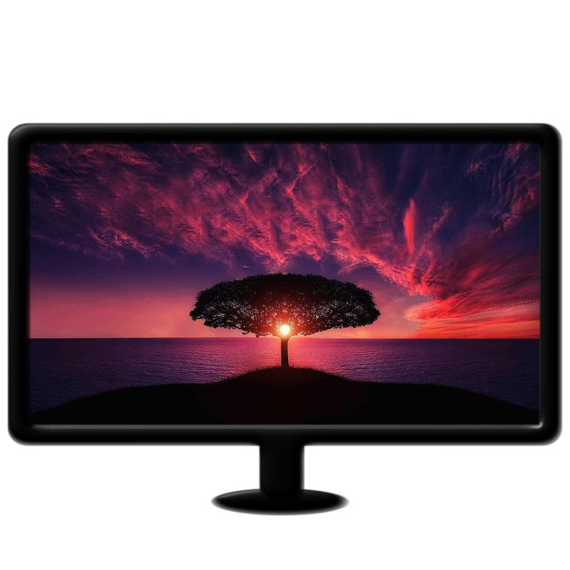 Tree with red sunset live wallpaper mp4