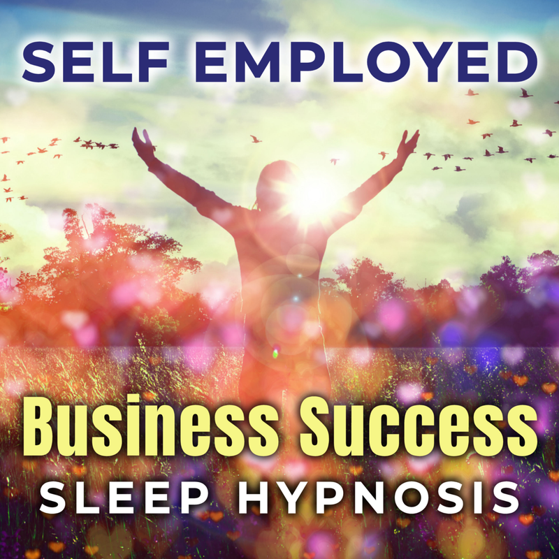 Self-Employed Business Success 8hrs