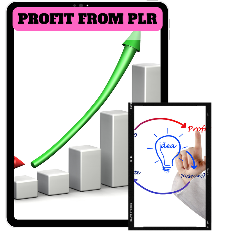Great Earning Trick With Profit From PLR