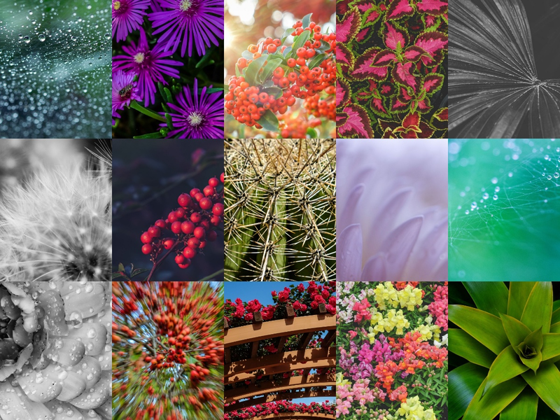 15 Digital Wallpapers - Spring Mix 2