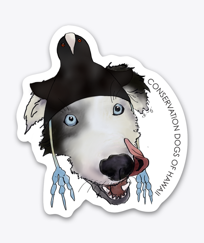 Waterbird Hat Series - ‘Alae Ke‘oke‘o