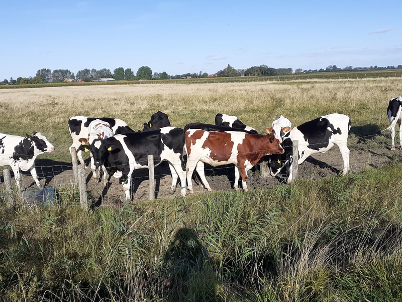 Nature, god creation