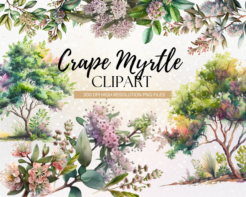 Watercolor Crape Myrtle Clipart