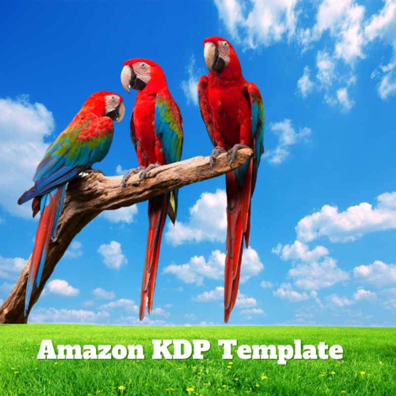 Parrot 01 Coloring Drawing Book