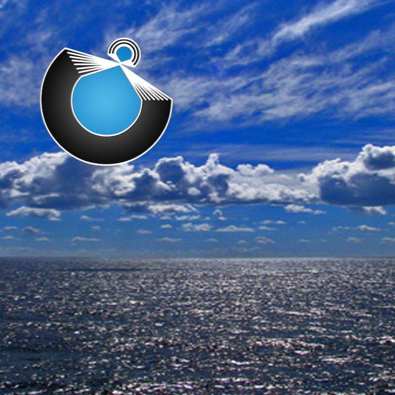 Coral Seal by Port Fish