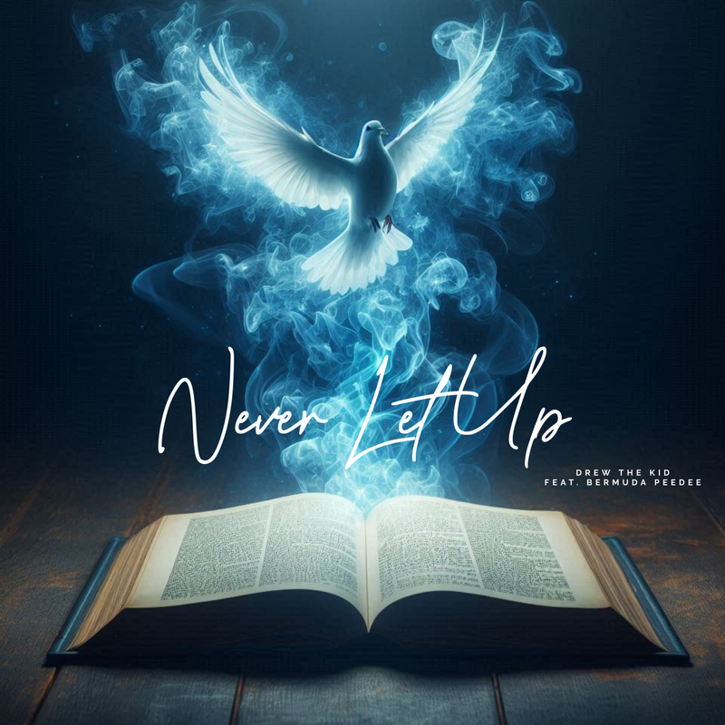 Never Let Up (feat. Bermuda Peede)