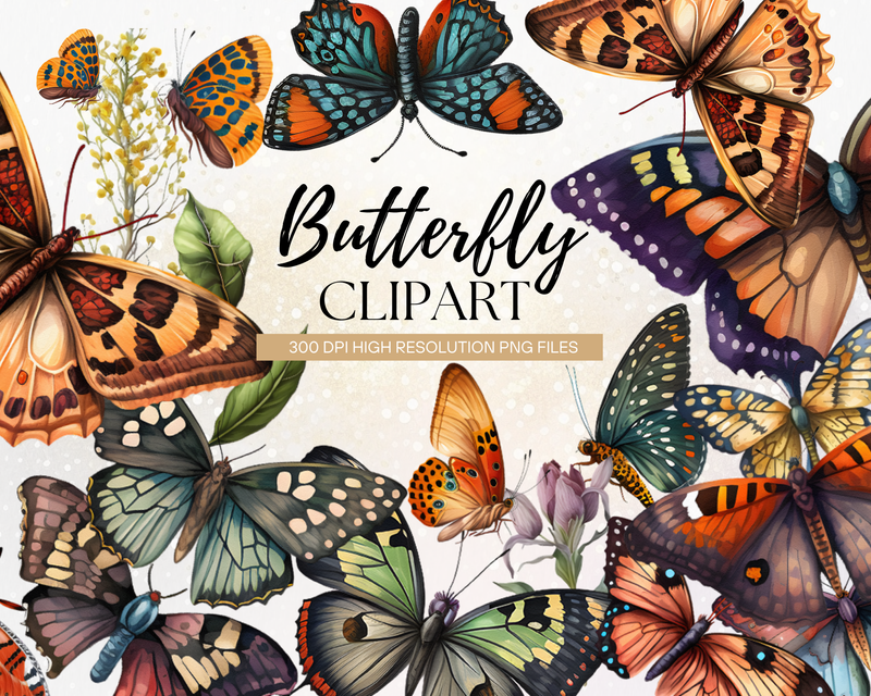 Huge Butterfly Clipart Collection