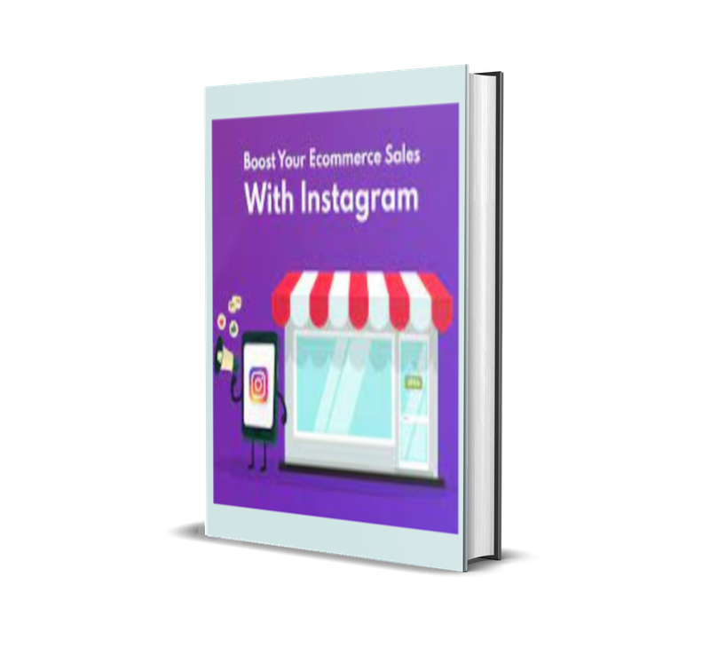 InstaProfit: ecommerce Empire on Instagr