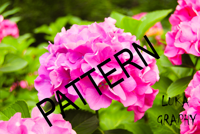 Fotografije narave/ foto nature