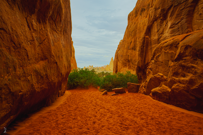 Sand Dune Arch Area, Arches Nat'l Park