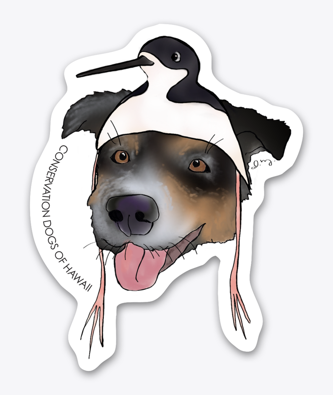 Waterbird Hat Series - Ae'o