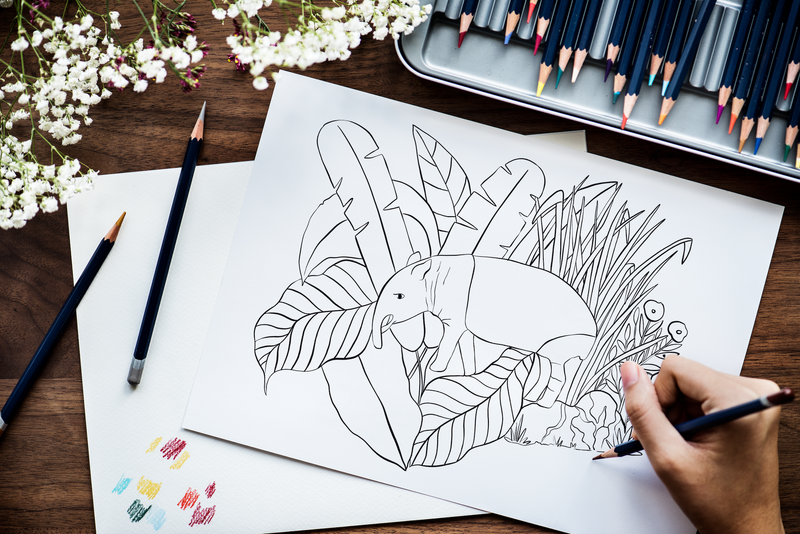 Cute Animals Coloring Book