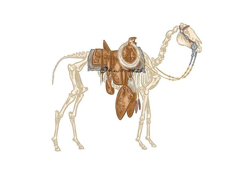 Bones-Digital Download