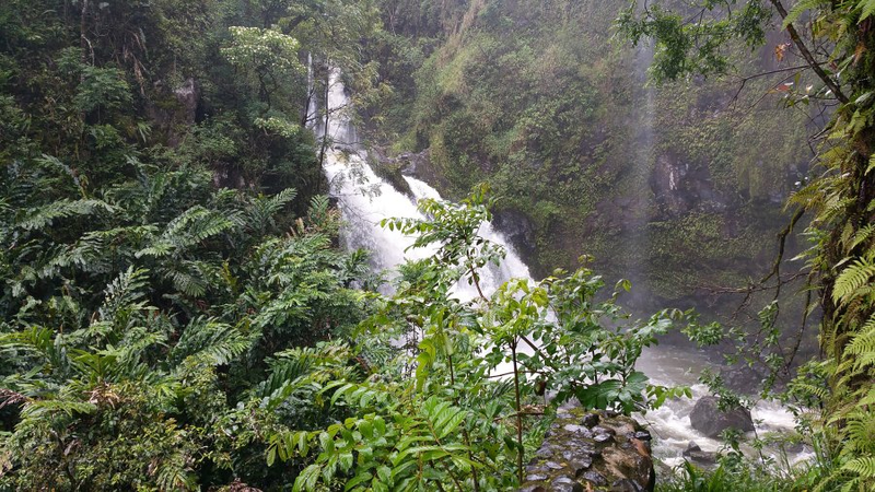 Maui waterfall