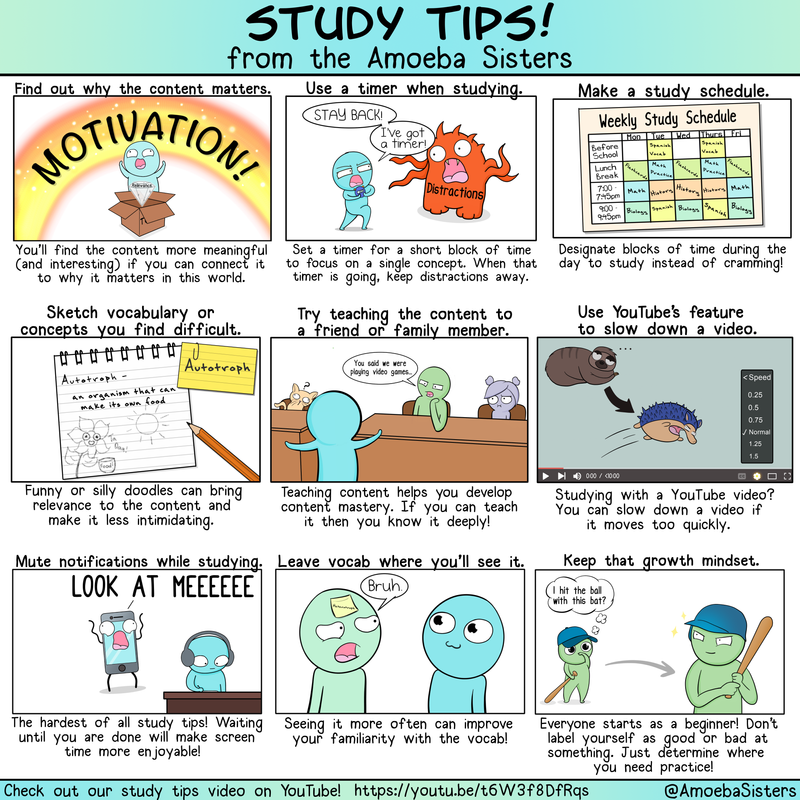 Amoeba Sisters Study Tips Poster PDF