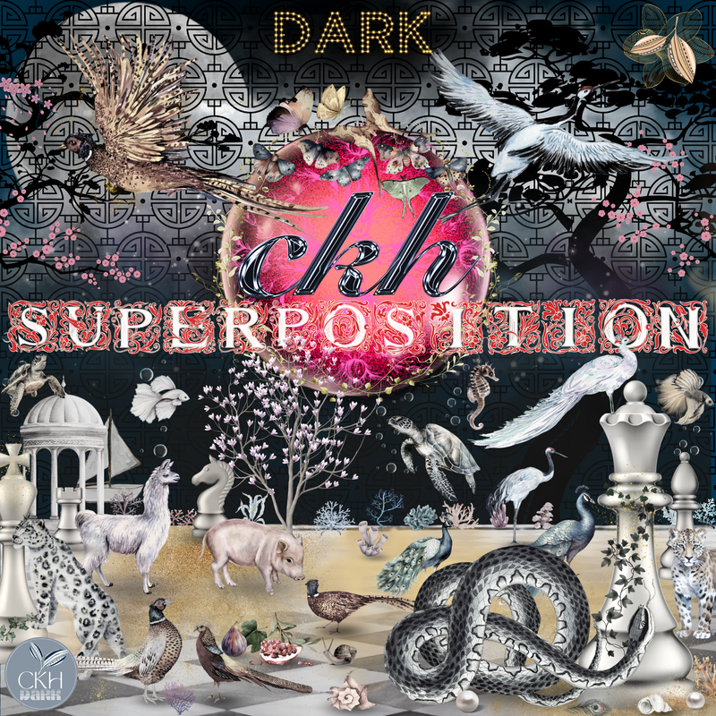 Superposition