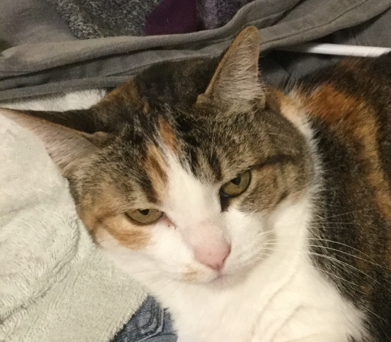 Rocky's Fun and Help World logo