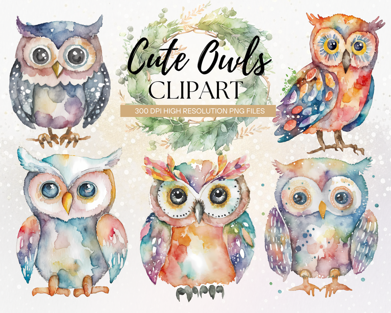 Cute Owls and Floral Clipart Set