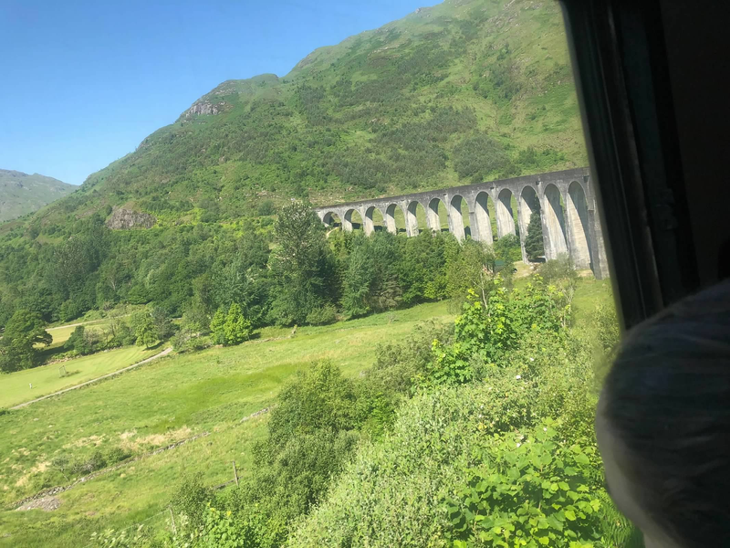 Zoom Background Bridge View 3