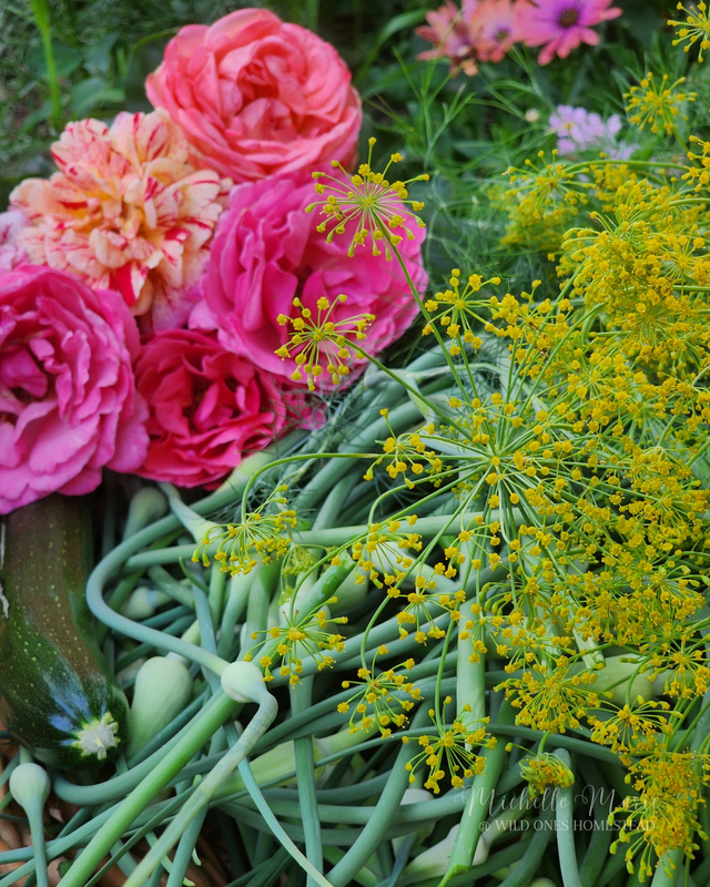 Harvest Basket, Digital Download