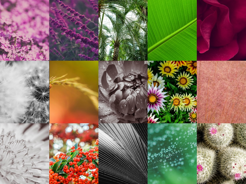 15 Digital Wallpapers - Spring Mix 1