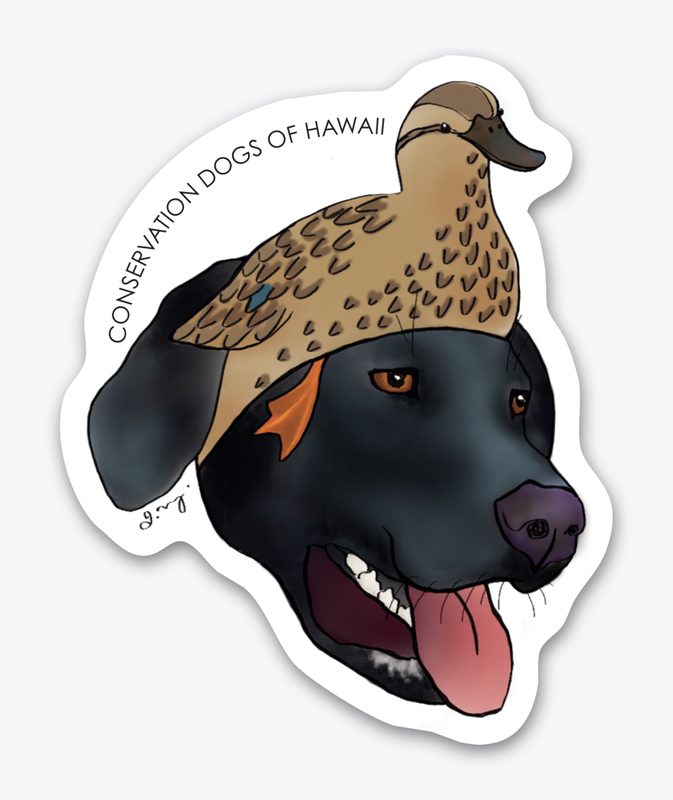 Waterbird Hat Series - Koloa Maoli