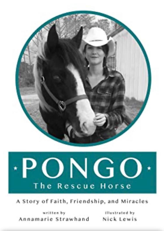Pongo The Rescue Horse