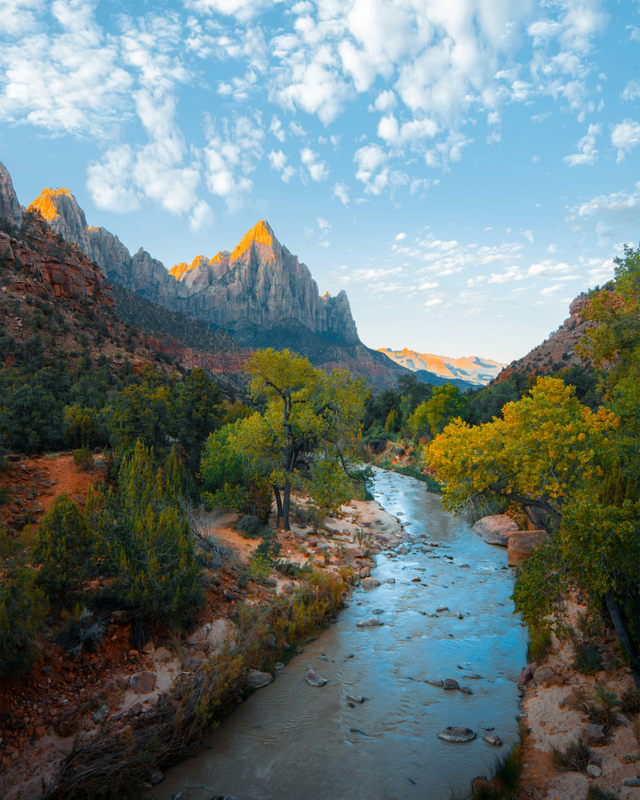 New Eco Nature Digital wallpapers