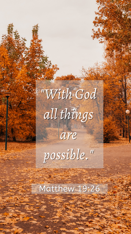 Trees Digital Wallpaper