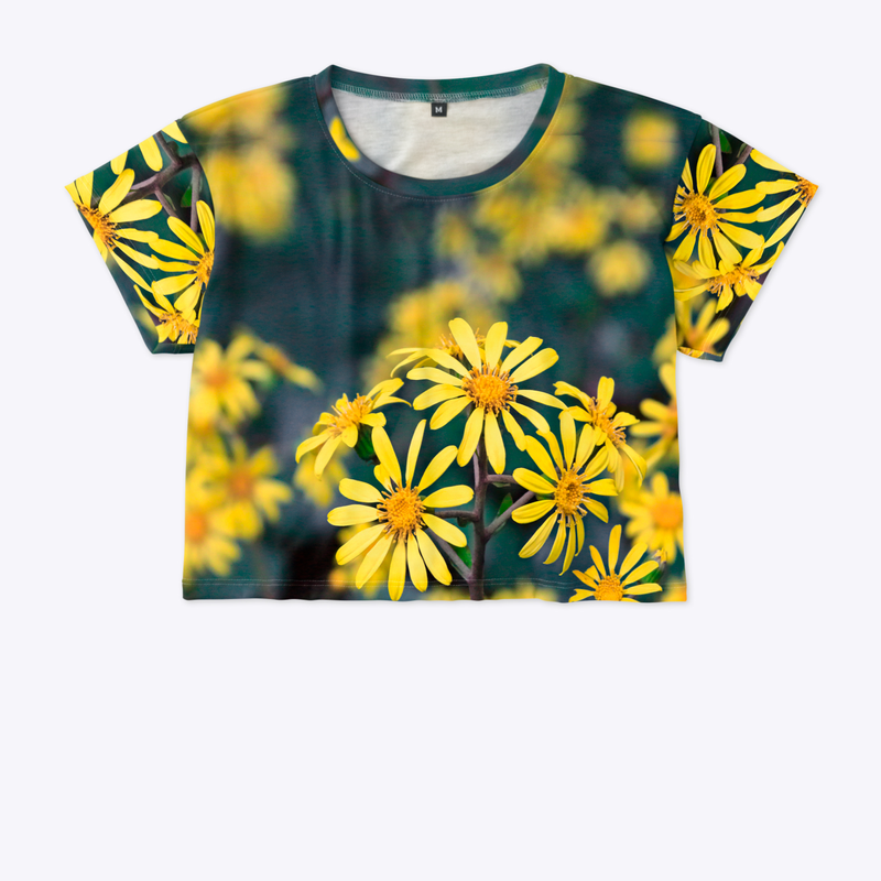 Wonderful Smile - Golden Ragwort