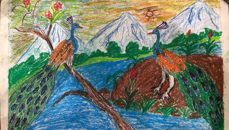 Digital Zoom Child Art Nepal