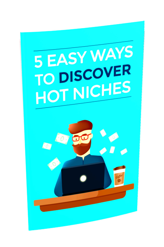 Niche Market Discovery ebook