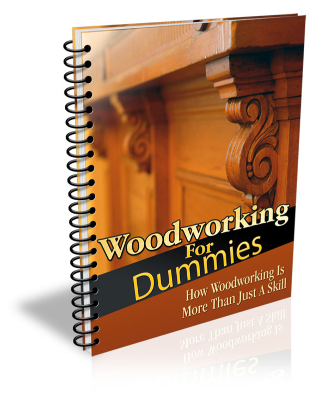Woodworking for Dummies.