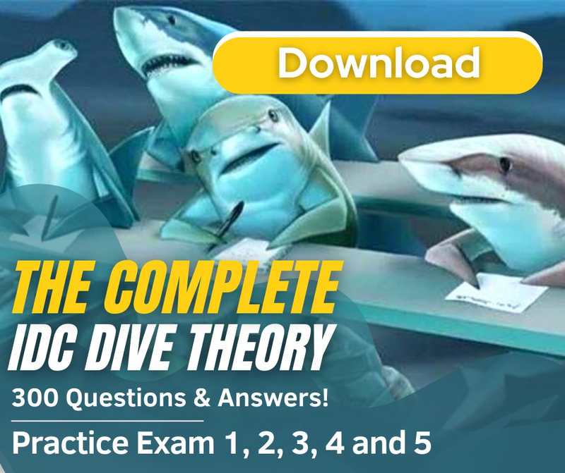PADI IDC DIVE THEORY PRACTICE EXAMS 1-5
