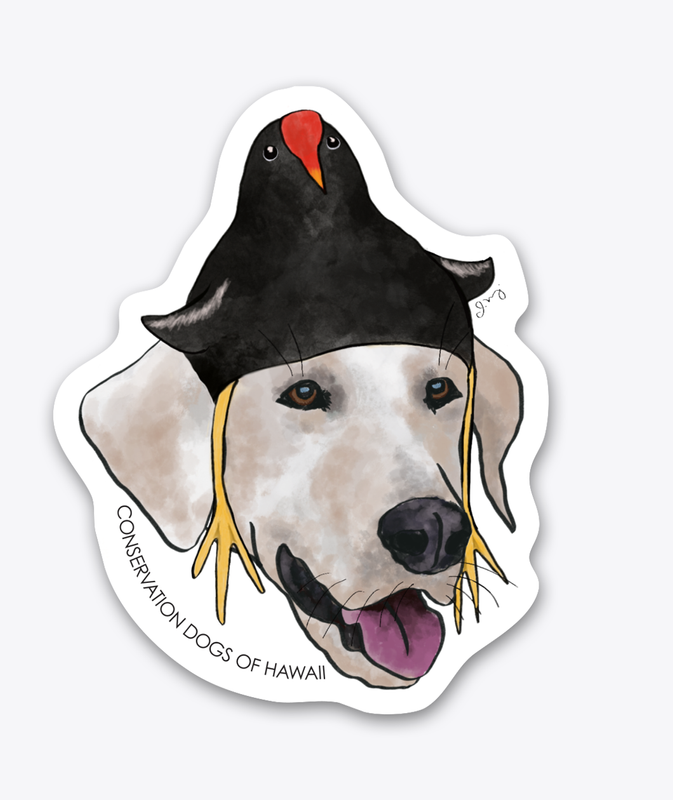 Waterbird Hat Series - ‘Alae ‘Ula