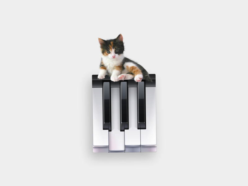 Human Cat | Virtual Instrument SFZ