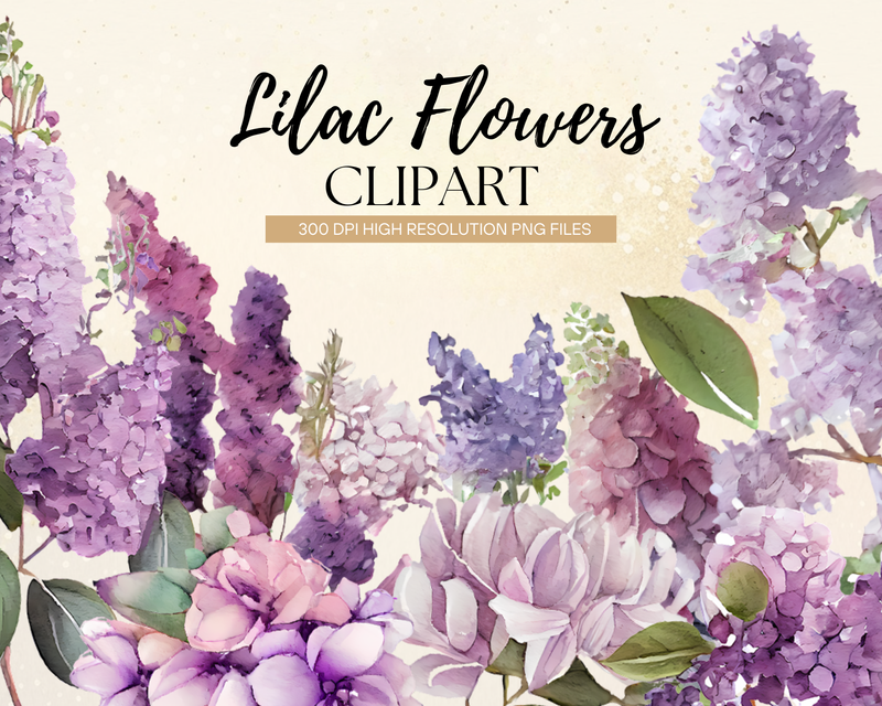 Watercolor Lilac Flowers Clipart