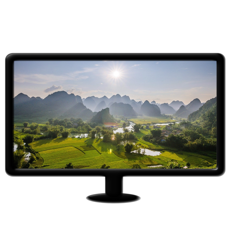 Rice fields live wallpaper mp4 16:9