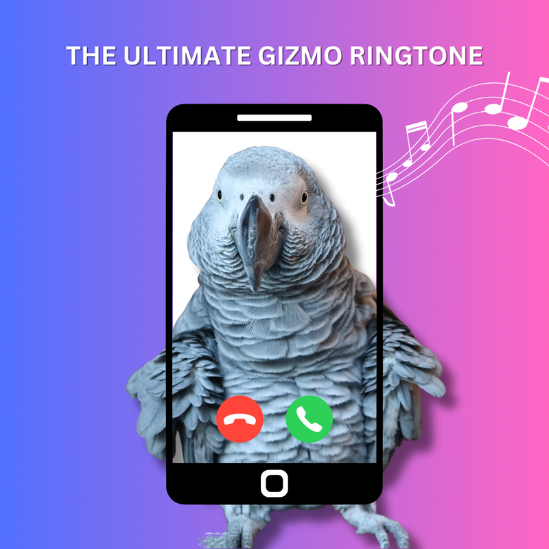 The Ultimate Gizmo Ringtone