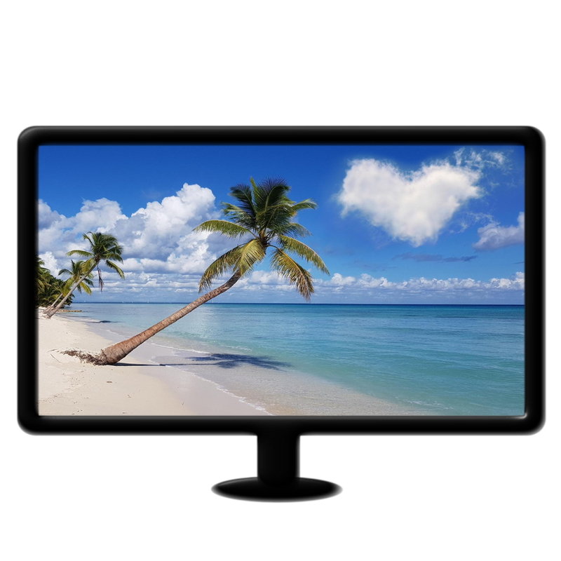 Palm tree on beach live wallpaper mp4