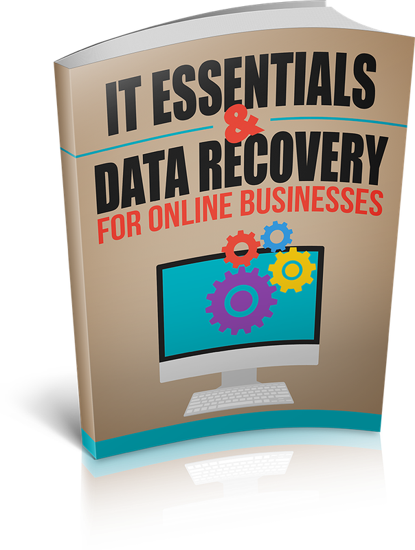 Data Recovery for Online Businesses