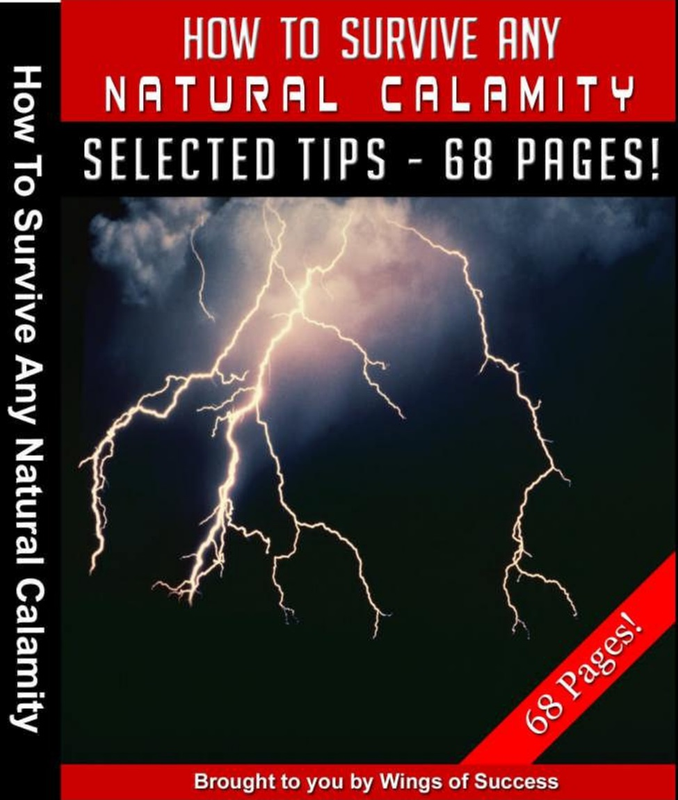 How to Survive Any Natural Calamity