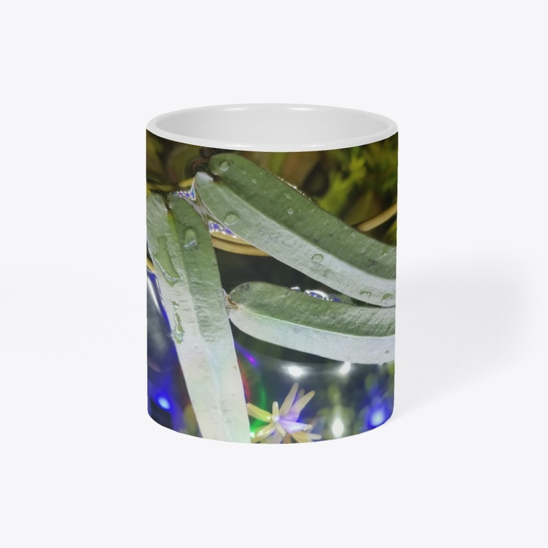 Aponogeton Robinsonii Mug 2!