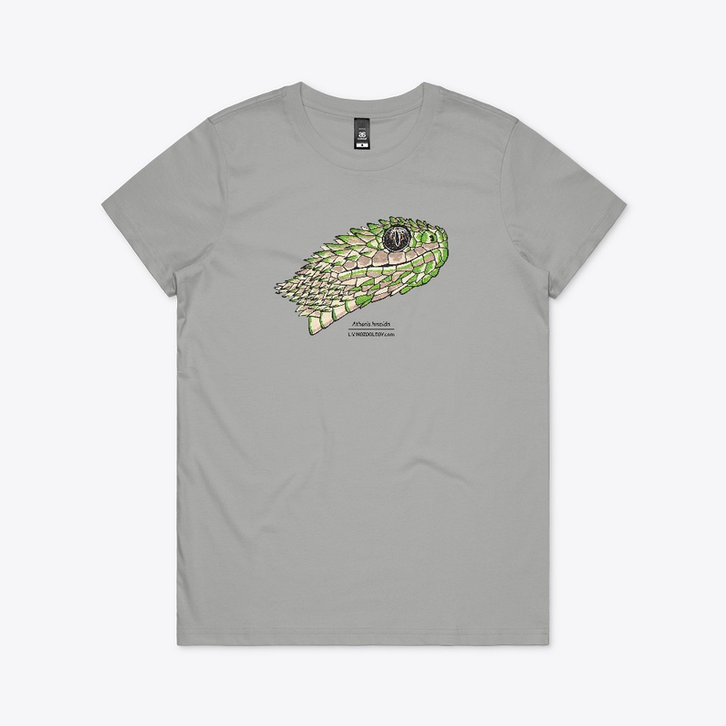 Atheris hispida color