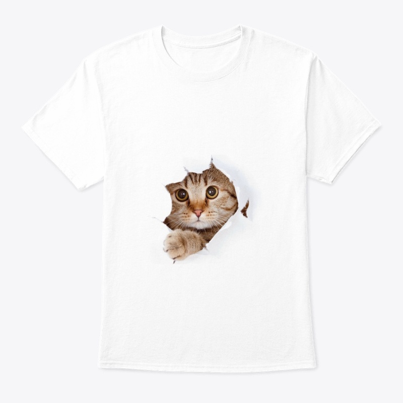 Cool Cat Vibes Design