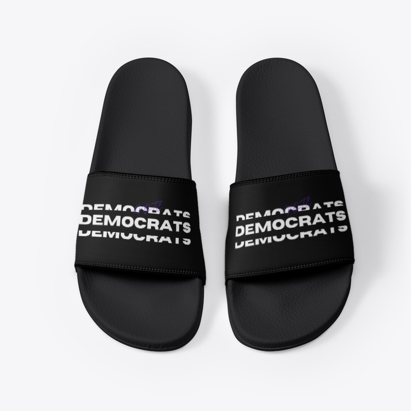 Everything Election 2024 2.0